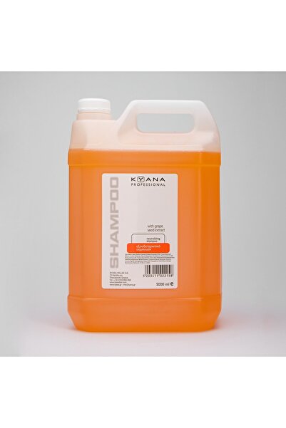 Kyana Shampoo Neutralising Post Color 5lt / εξουδετερωτικό βαφής