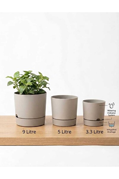 POLİVAHOME Begonya Bej Dekoratif Drenaj Tabaklı Saksı 3 lü Set