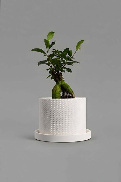 VASODEK Dekoratif Beton Saksı V-123-AÇİK KREM