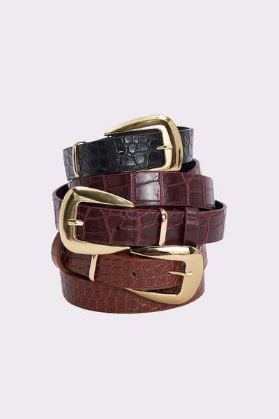 Tudors Ženski zlatni kopča 2,5 cm set od 3 crno-bordo crveno-smeđe kaiševa