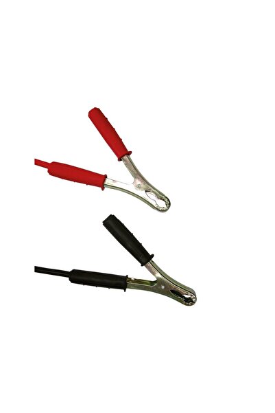 Carpoint Cabluri transfer curent baterii , lungime 3.5m, grosime cablu de por...