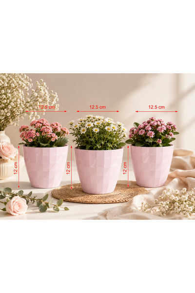 CANBOTANİK 3 adet dekoratif gülkurusu saksı 12 cm