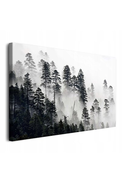Naklejkomania Tablou pe panza, Padure in ceata, 120 x 80 cm, Cu rama, Imprima...