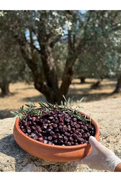 Yõremden gıda Yağlı sele siyah zeytin xxl (230-260 kalibre)