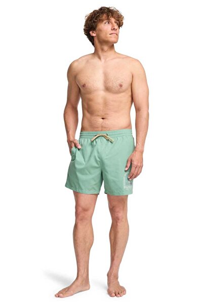 BİLLABONG Foundation lb Men's Shorts Ebyjv00162