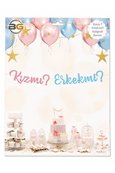 BG Pink-Blue Gender Reveal Kit? Is He Male? Written Calligraphy Banner