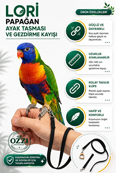 ozzipetshop Lori Papağanı Ayak Tasması Gezdirme Papağan Tasması