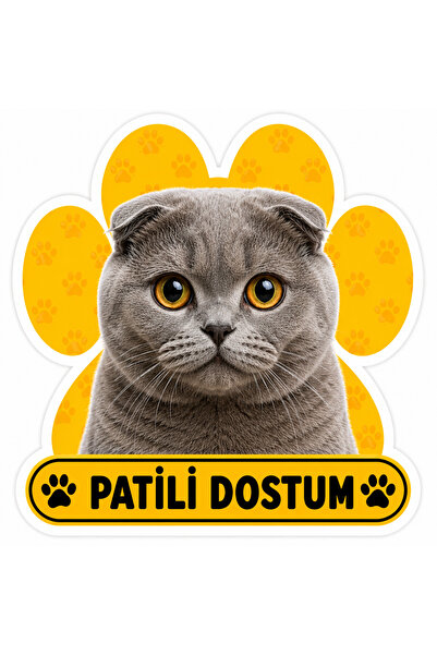 Parti Tasarla My Clawed Friend Scottish Fold Cat Sticker |   20X15 cm Self-Ad...