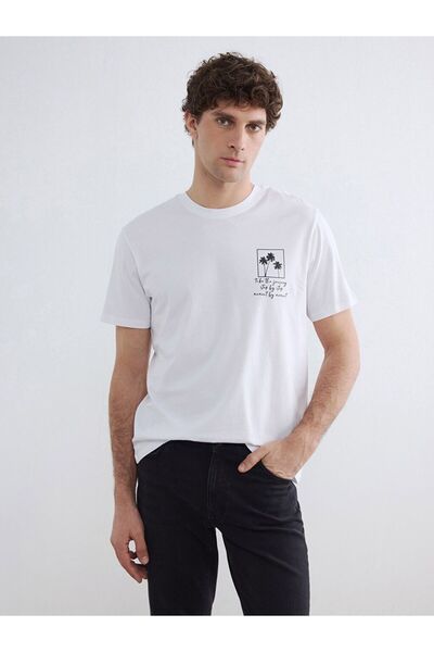 LC Waikiki Crew Neck Printed Men's T-Shirt