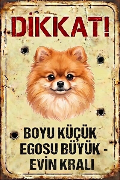 Iron Paws Dikkat Köpek Var - Erkek Pomeranian Boo (Spitz) Uyarı Levhası - Dek...