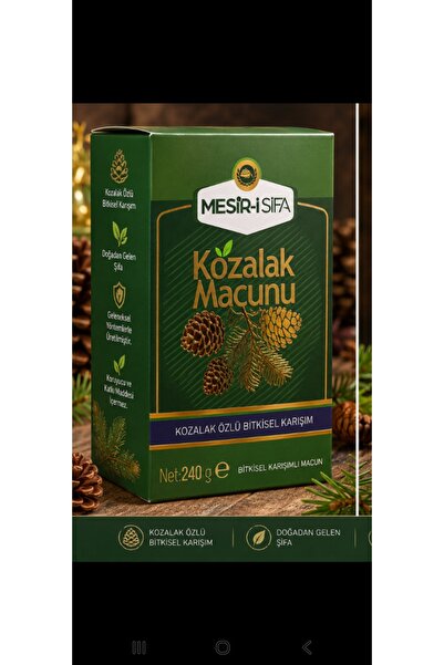 Kozalak macunu 240 gr