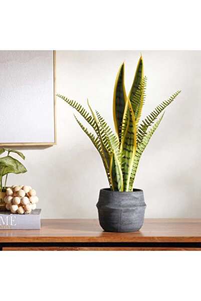 PAN HOME Adela Stoneware Planter 15x15x11.8cm - Black