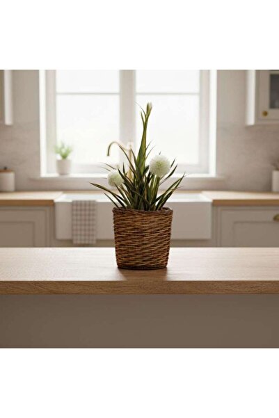 PAN HOME Alexis Willow Planter Dia28xh26cm - Natural