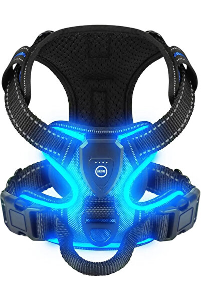 Choice12 حزام للكلاب مضيء باللون الأزرق مع إضاءة LED، قابل للتعديل وقابل لإعا...