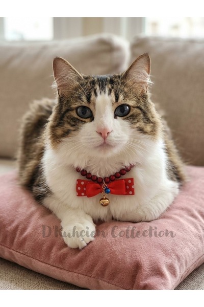 Jivva's Collection Adjustable Cat Collar with Bell, Tag, Red Bead Cat Necklac...