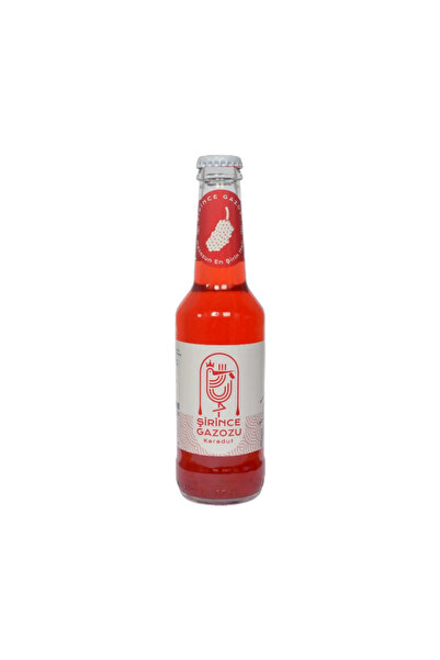 Şirince Karadut 250 ml 6 adet