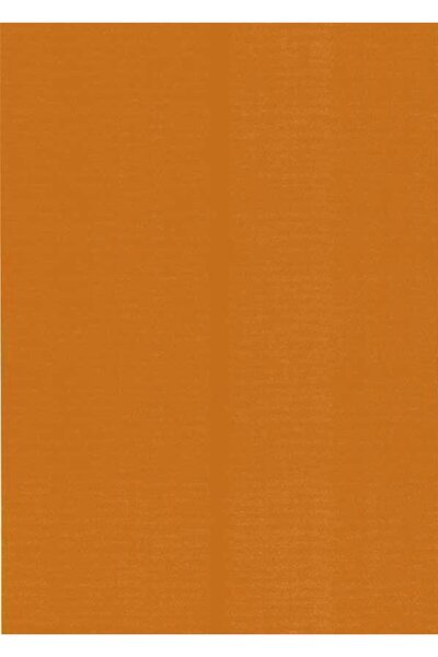 Canson Χαρτί Colorline 50Χ70 σε καφέ απόχρωση καρυδιάς (105741140)