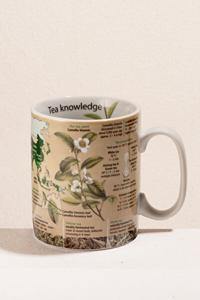 Paşabahçe Tea Knowledge Porcelain Mug, Stylish Design