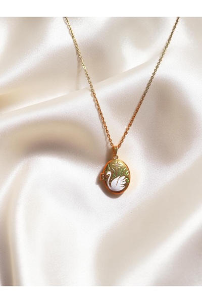 AUREON GOLD Kadın Çelik Açılabilir Fotoğraflı Madalyon Kolye