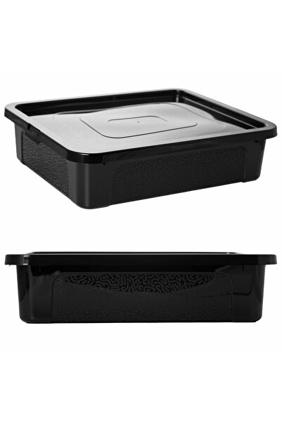 EDANTI Cutie de depozitare din plastic cu capac, Multibox, 40x33x10 cm, 10 L,...