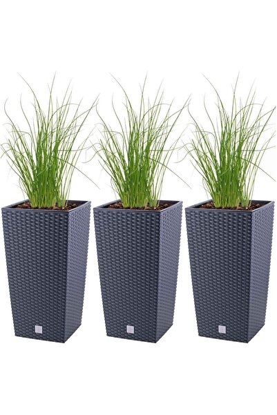 EDANTI Ghiveci pătrat din ratan pentru grădină și interior 37,6 cm x 3 bucăți