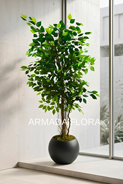 Armada Flora Premium Yapay Yeşil Benjamin Ağacı 150 cm 27*33 Küre Saksılı