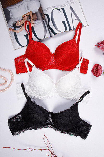 Mistressia Women's Underwire Padded Lace 3-Piece Bra Set