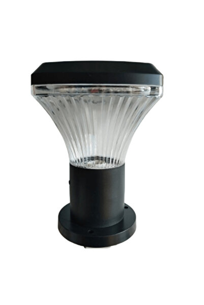 Forlife FL-3336 100Watt Güneş Enerjili Solar Set/Baba Üstü Bahçe Armatürü