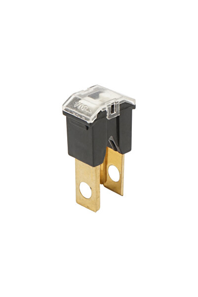 Breckner Germany Siguranta auto tip tata, negru, 80A