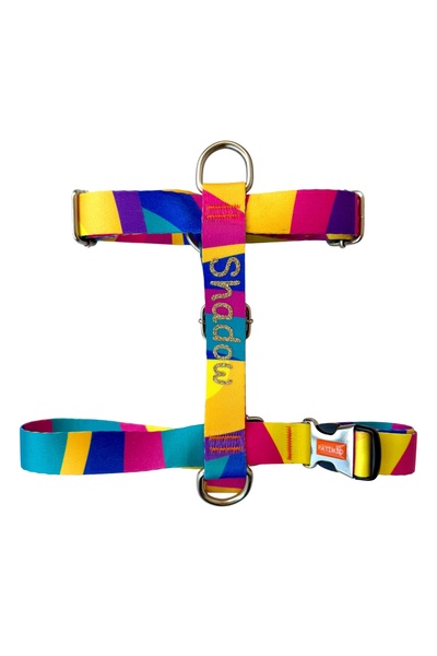 PATİMİO İsme Özel Kişiye Özel Colours Model Köpek Göğüs Tasması