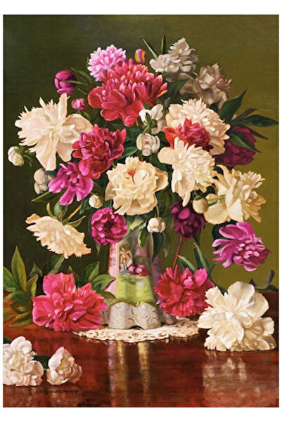 Castorland Puzzle frumos 2D 500 piese