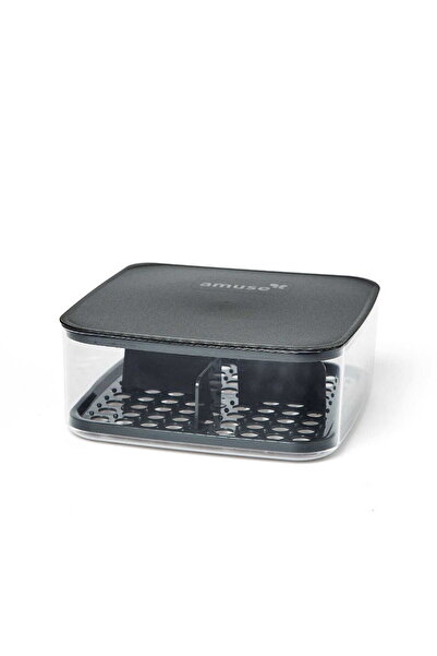 Amuse Recipient pentru branza,