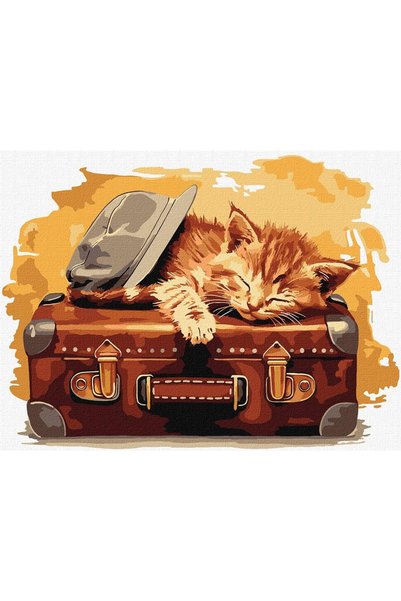 ideyka Set pictura pe numere multicolor 30x40cm gata de calatorie
