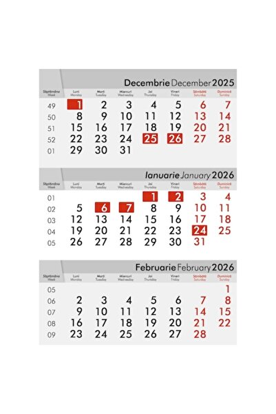 OEM Calendar de perete 2026, 12 foi, roșu+negru, 300x430mm