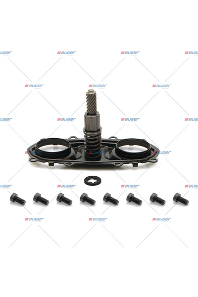 Auger Kit Reparatie Etrier 2000-2026