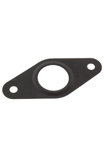 FEBI BILSTEIN Garnitura Valvei Egr Ford Ranger Transit Transit Custom V362 Tr...
