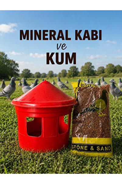 AN-GA AVM Güvercin Mineral Kabı ve 1kg kum kil mineral taşı
