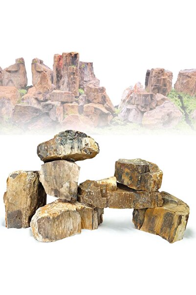 Amtra Decor piatra acvariu roca Lemn fosilizat 0.2-0.3 kg / piesa