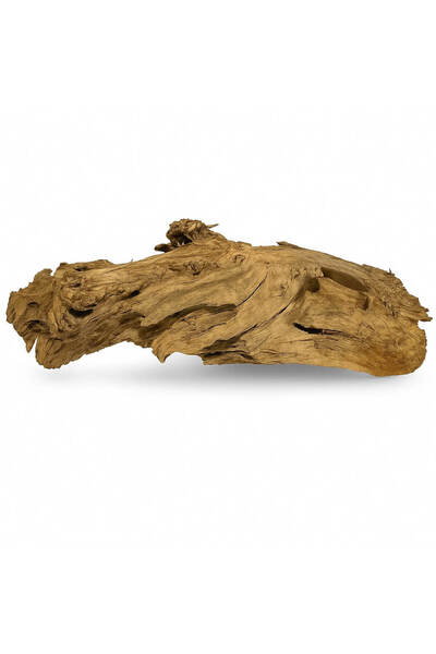 Ocean Free XXL15 Decor acvariu Drift Wood Urias