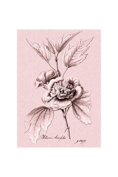 Skona Ting Felicitare B6 multicolor 16.3x12.8cm set