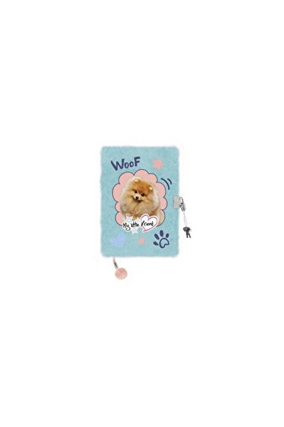OEM Agenda A5 ST-MAJEWSKI cu lacat, 96 file, multicolor
