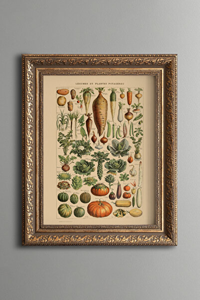 epiqart Botanical Vegetable Collection - Vintage Patterned Painting - Thick M...