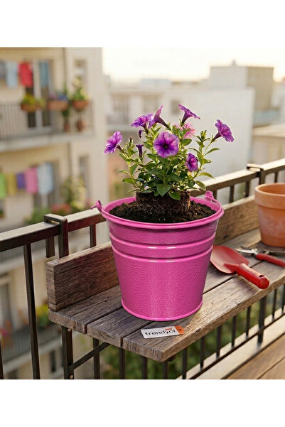 ÖZHEMMEKLER 5'li Metal Saksı Seti - Masaüstü ve Balkon Dekoratif Metal Saksı (18x13x15)