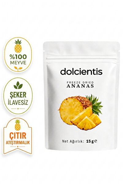 Freeze Dried Ananas 15 g Dondurularak Kurutulmuş Çıtır Dilim Ananas Şeker İlavesiz