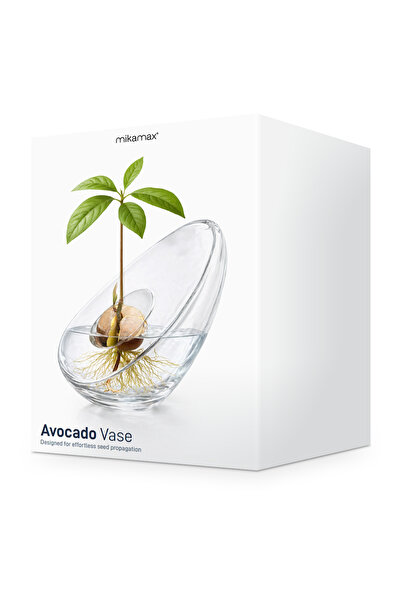 OEM mikamax - Avocado Vase: Όταν το Design Συναντά τη Φύση