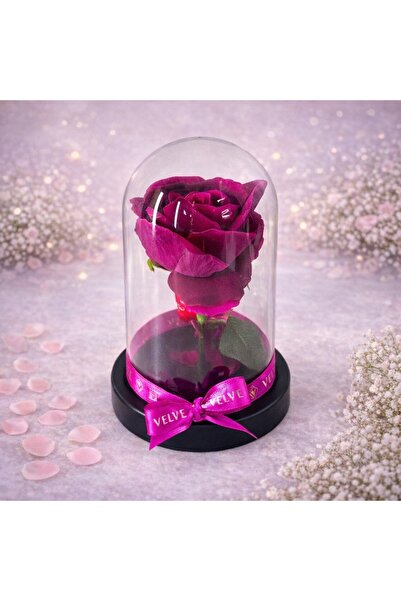 velve Trandafir artizanal in cupola de plastic, pe blat negru, Mov 12 x19 cm