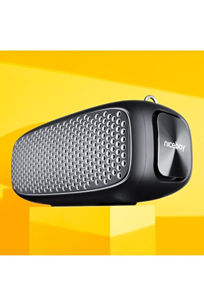 Niceboy Boxă portabilă Raze Zeus 65W Negru