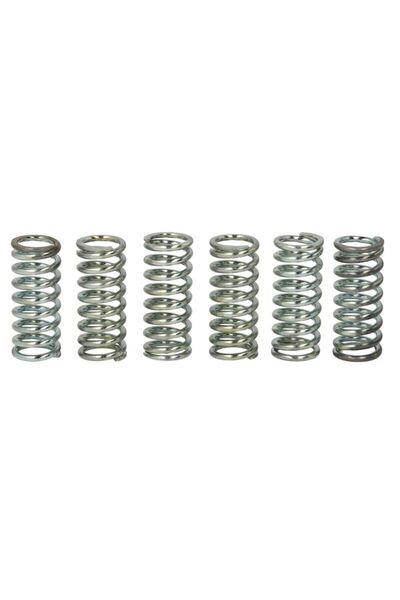 TRW Set Arcuri Ambreiaj (ranforsat) Kawasaki Gpz Zzr Suzuki Rf 900/1100 1990-...