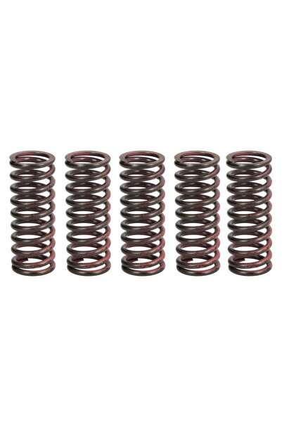 TRW Set Arcuri Ambreiaj Kawasaki Kx 125/250 2003-2022 KAWASAKI KX