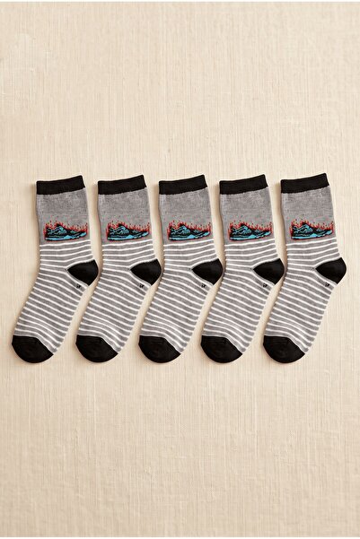 hadiora Boy's Light Gray 7-8 Years Old Striped Figured 5-Piece Sock Set